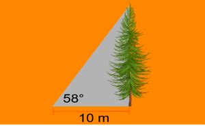 Image result for Tangential Angle Examples