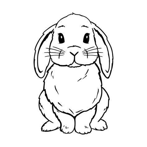 Premium Vector | Cute Lop Rabbit Line Art. Bunny sketch vector ...