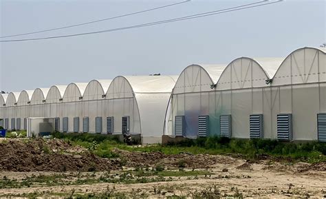 Ventilation Systems for Greenhouses in India | Agriplast