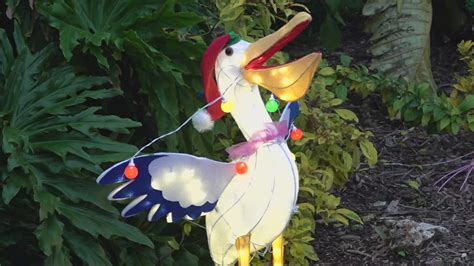 South Texas Botanical Gardens HOLLY-DAYS start Friday | kiiitv.com