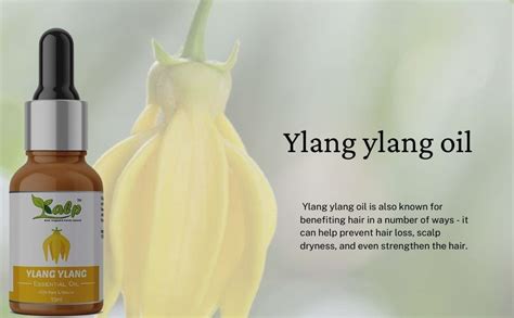 Buy Kalp® Ylang ylang oil-100% Pure, Natural & Undiluted for skin, hair ...