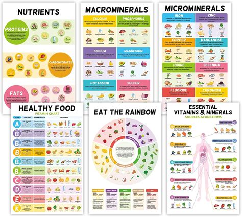 Fuwane 6 Pcs Healthy Food Chart 11X17 Vitamin And Mineral India | Ubuy