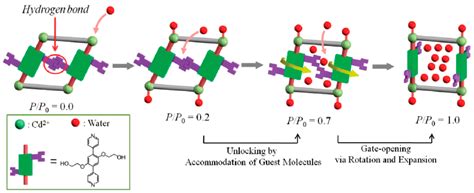 Flexibility in Metal–Organic Frameworks: A Basic Understanding