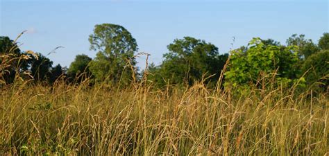 Image result for System.invalidoperationexception Unable to Resolve Service for Type