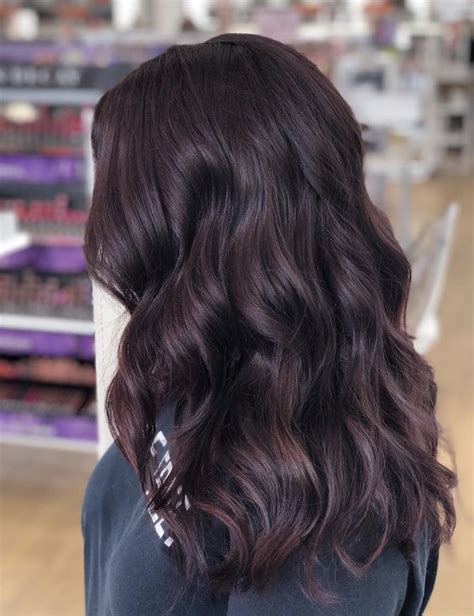 Dark Plum Brown Hair Color