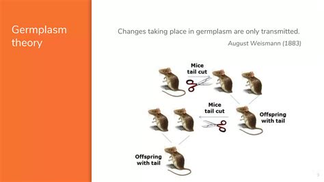 Genetics Introduction 的图像结果