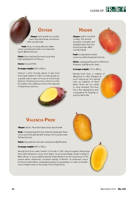 The main mango varieties
