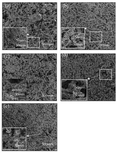 Preparation and Characterization of Freeze-Dried β-Tricalcium Phosphate ...