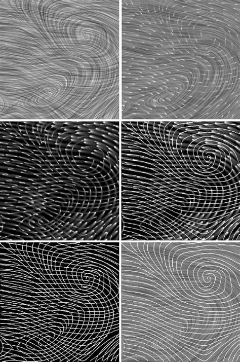 Image result for Vector Space Visualization