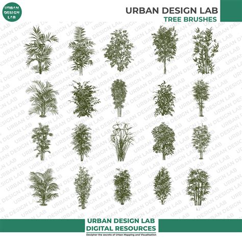 52 Watercolor PNG Trees Plans And Elevation Cutout | Urban Design Lab