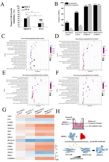 Staphylococcal Enterotoxin C2 Mutant-Induced Antitumor Immune Response ...