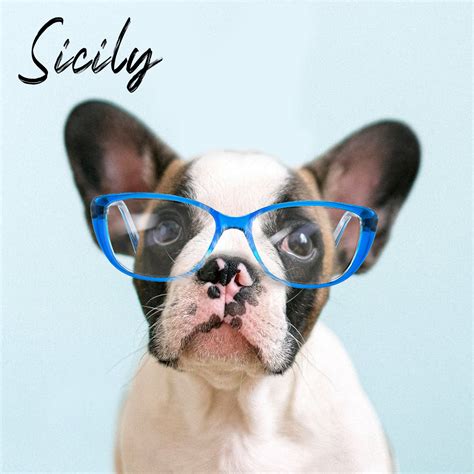 Payne Glasses Reviews - 833 Reviews of Payneglasses.com | Sitejabber