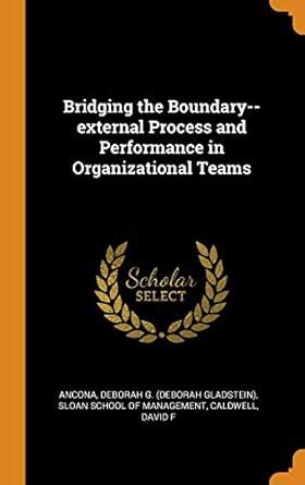 Buy Bridging the Boundary-external Process and Performance in ...