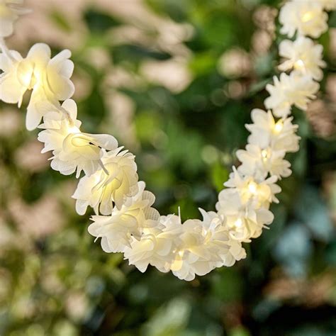 Buy Serena Solitaire Flower String Lights - 25 Bulbs from Home Centre ...