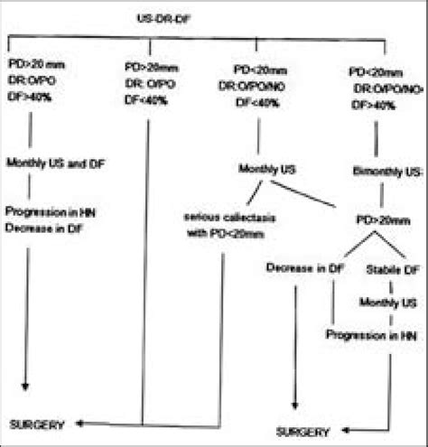 Image result for Nephrohydrosis Algorithm