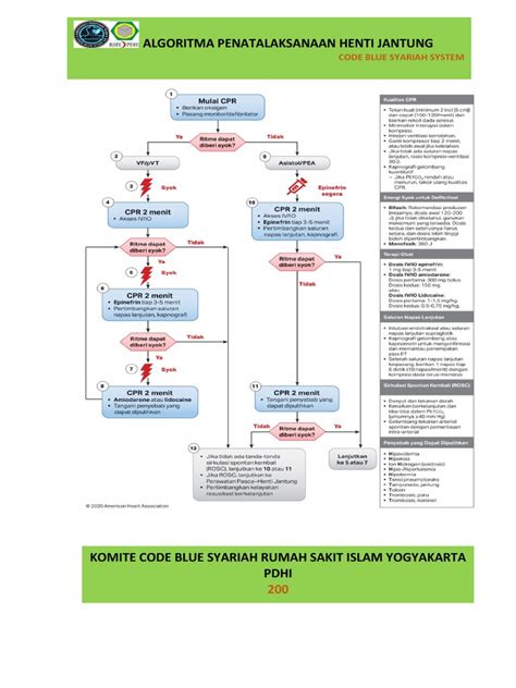 Code Blue Data Algorithm 的图像结果