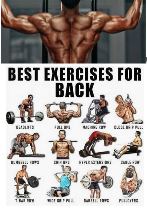 gym workout back