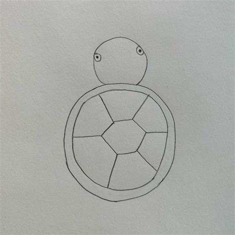 Image result for Simple Turtle Drawing