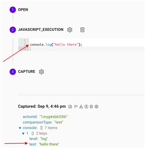 Image result for Execute JavaScript