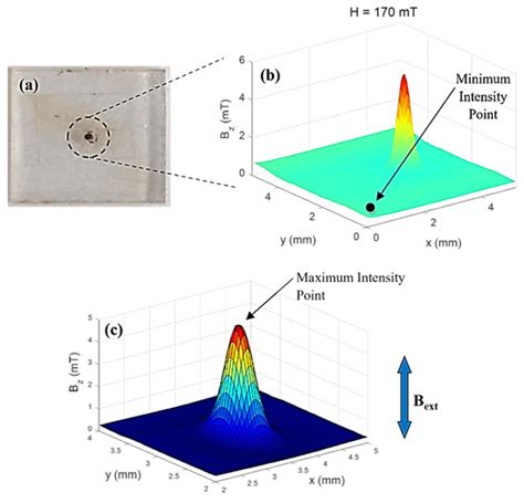 Magnetic Characterization by Scanning Microscopy of Functionalized Iron ...