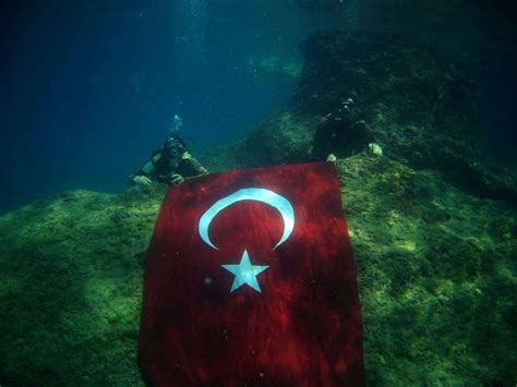 PEARL DIVING CENTRE (2025) All You Need to Know BEFORE You Go (with ...