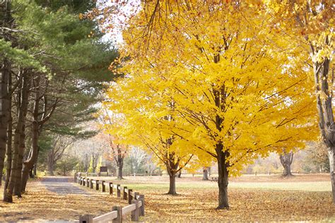 Explore Fairfield County :: New Fairfield