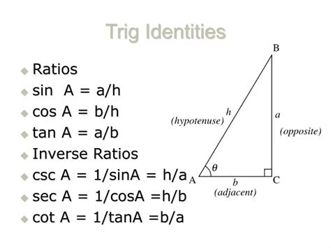 Trig Functions Math Science 的图像结果