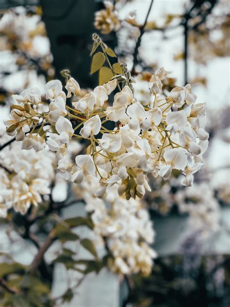 Top places to visit in the world