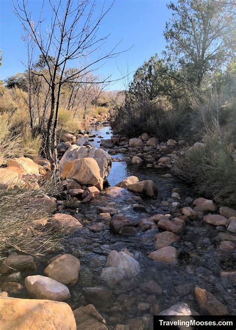 Image result for Loop Pimple