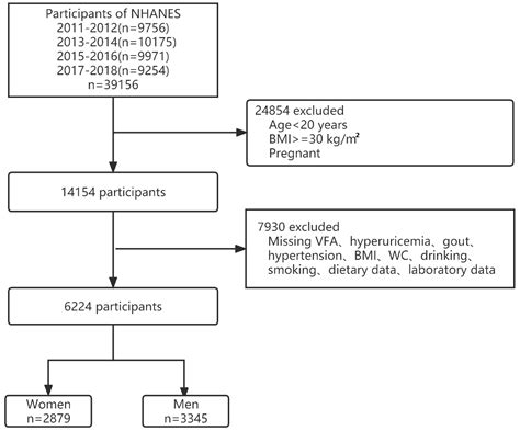 Association of Visceral Fat Area and Hyperuricemia in Non-Obese US ...
