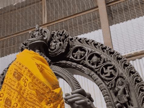 Ram-Lalla idol's sculptor shares video of monkey's visit to temple ...