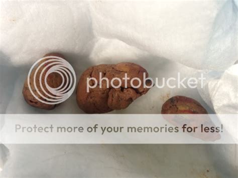 Baby Poop Explodes 的图像结果