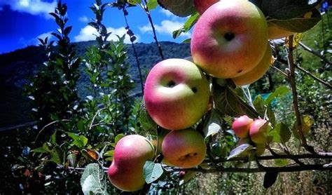 Kanthalloor, Hill Town near Munnar in Kerala for Lesser-Known and Less ...