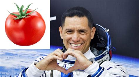 Alien Tomato Monster 的图像结果