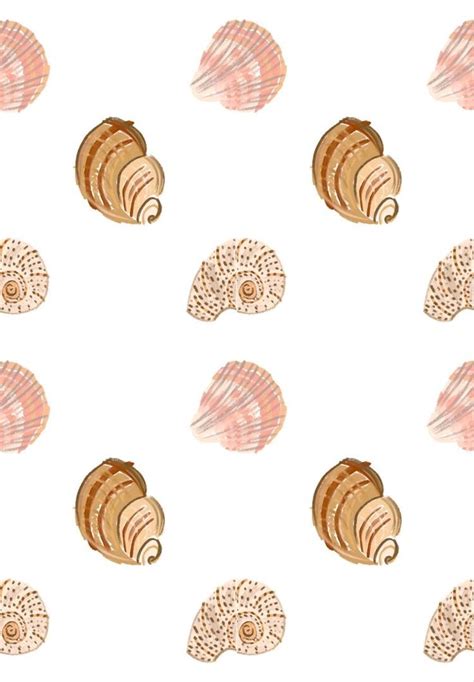 Image result for Pretty Shell Drawing
