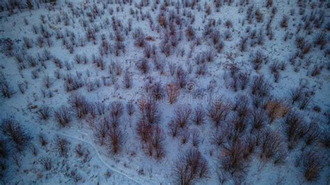 Image result for Aerial Spring