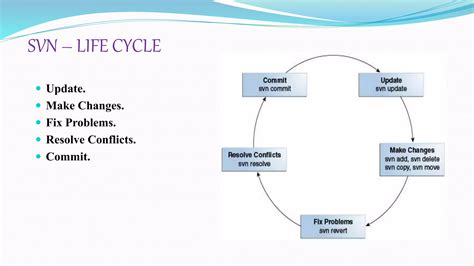 Image result for SVN Branching Tutorial