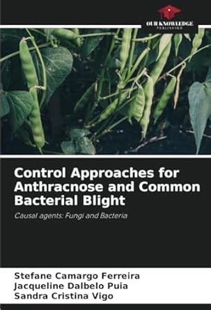 Buy Control Approaches for Anthracnose and Common Bacterial Blight Book ...