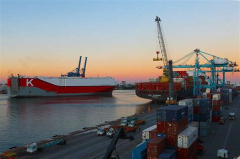 APM Terminals Itajaí achieves record in the first year of Ro-Ro ...
