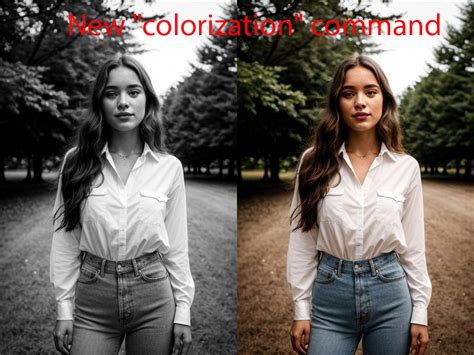 Image result for Colorization Demos