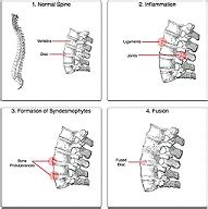 Dr. Sanjay Shah - Diseases and Conditions