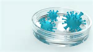 How age, sex, and genetics shape your immune response to viruses: See ...