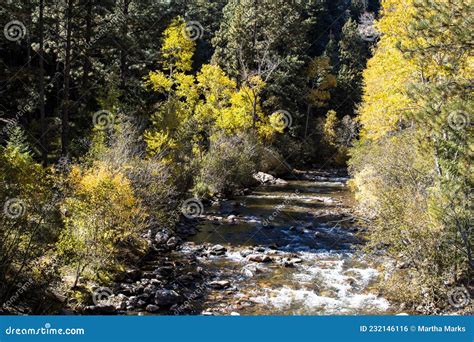 Pecos River in New Mexico stock photo. Image of park - 232146116