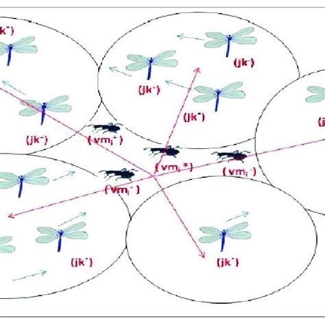 Image result for Tracking Algorithm Dragonflies