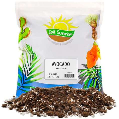 Sunrise Organic Indoor Avocado Potting Soil Mix (8 Quarts) for ...