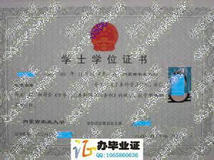 内蒙古工业大学-毕业证样本网