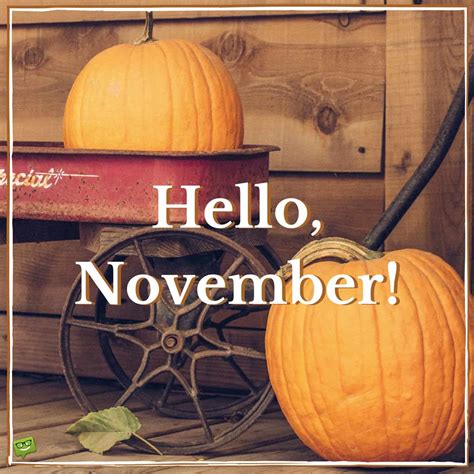 Hello November HD Wallpapers - PixelsTalk