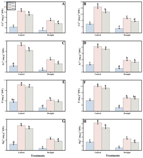 Deciphering Plantago ovata Forsk Leaf Extract Mediated Distinct ...