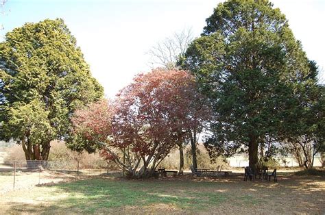 BALDINNIE COTTAGES (Nottingham Road) - Cottage Reviews, Photos, Rate ...