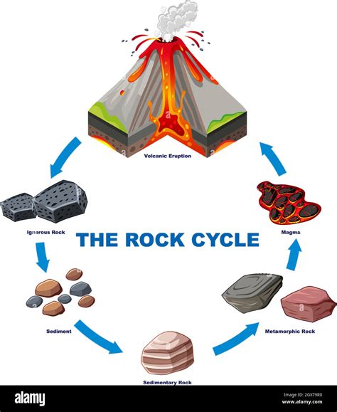 Diagram showing rock cycle Stock Vector Image & Art - Alamy